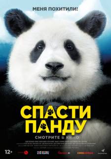 Спасти панду (2020) турецкий сериал